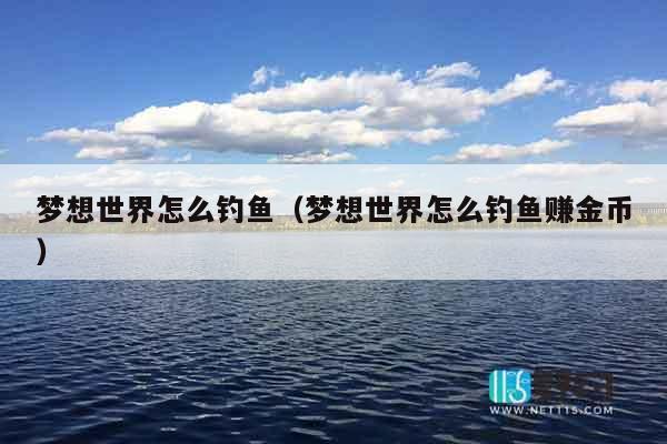 梦想世界怎么钓鱼（梦想世界怎么钓鱼赚金币）
