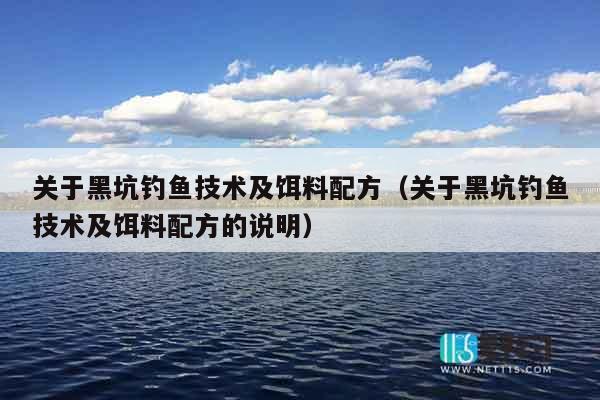关于黑坑钓鱼技术及饵料配方（关于黑坑钓鱼技术及饵料配方的说明）