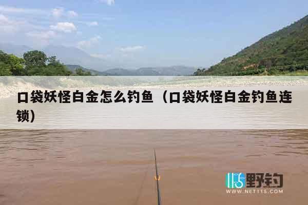 口袋妖怪白金怎么钓鱼（口袋妖怪白金钓鱼连锁）