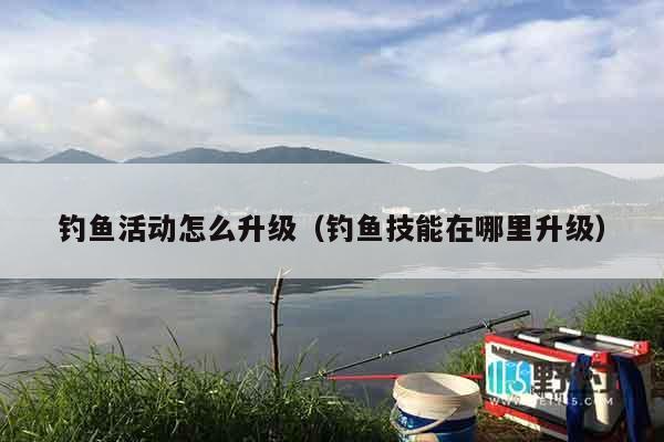 钓鱼活动怎么升级（钓鱼技能在哪里升级）