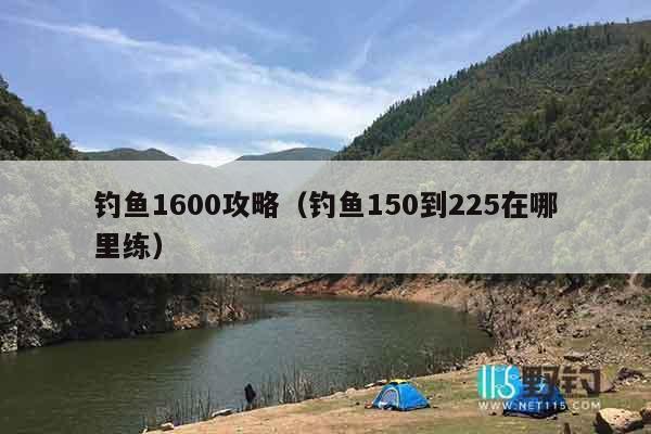 钓鱼1600攻略（钓鱼150到225在哪里练）