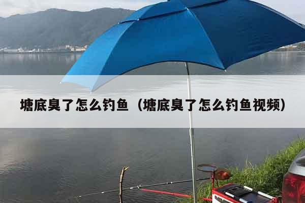 塘底臭了怎么钓鱼（塘底臭了怎么钓鱼视频）