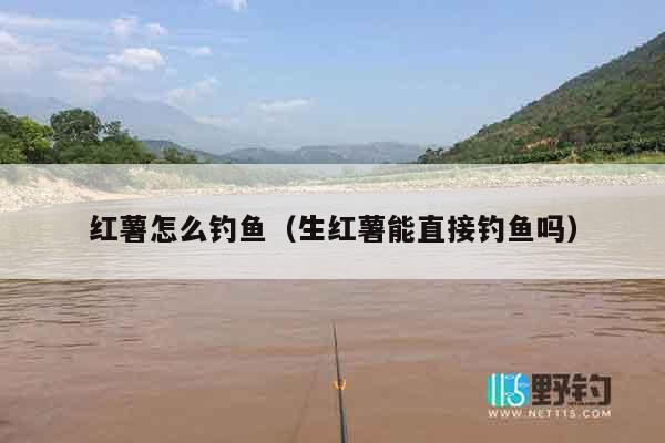 红薯怎么钓鱼（生红薯能直接钓鱼吗）