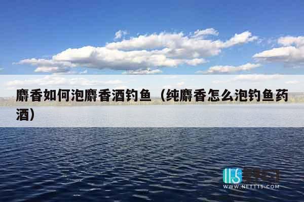 麝香如何泡麝香酒钓鱼（纯麝香怎么泡钓鱼药酒）