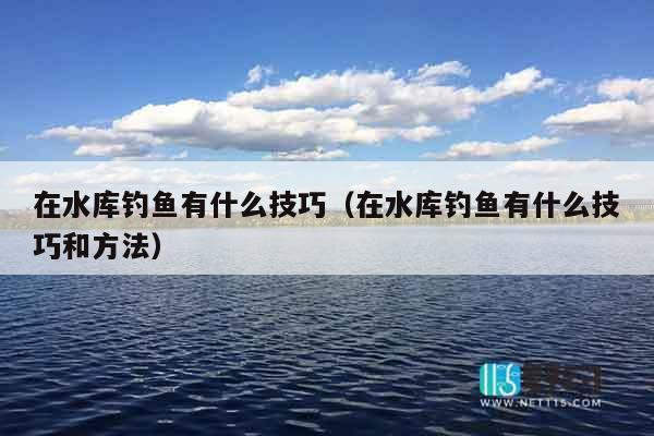 在水库钓鱼有什么技巧（在水库钓鱼有什么技巧和方法）