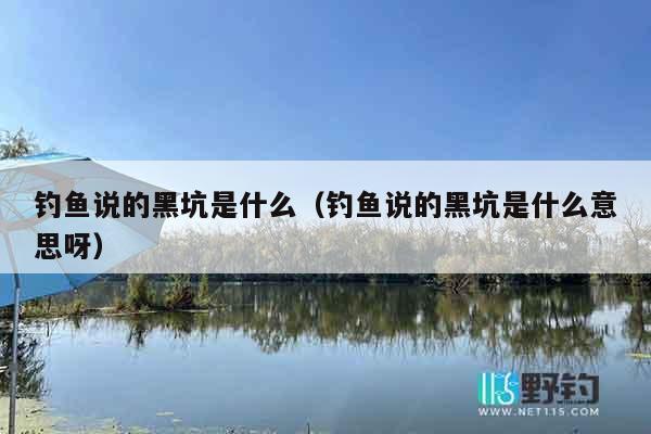 钓鱼说的黑坑是什么（钓鱼说的黑坑是什么意思呀）
