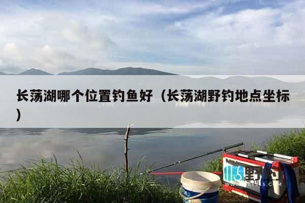 长荡湖哪个位置钓鱼好（长荡湖野钓地点坐标）