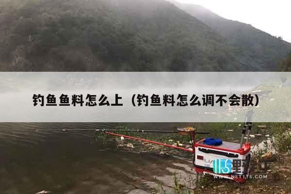 钓鱼鱼料怎么上（钓鱼料怎么调不会散）