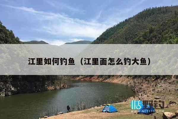江里如何钓鱼（江里面怎么钓大鱼）