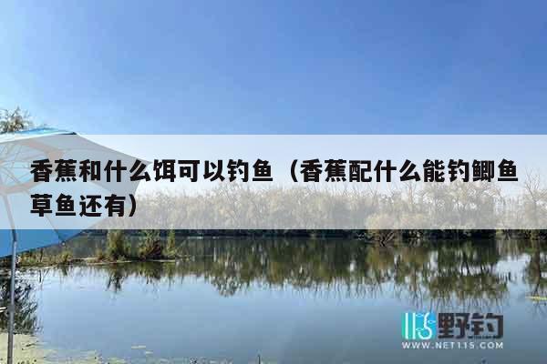 香蕉和什么饵可以钓鱼（香蕉配什么能钓鲫鱼草鱼还有）