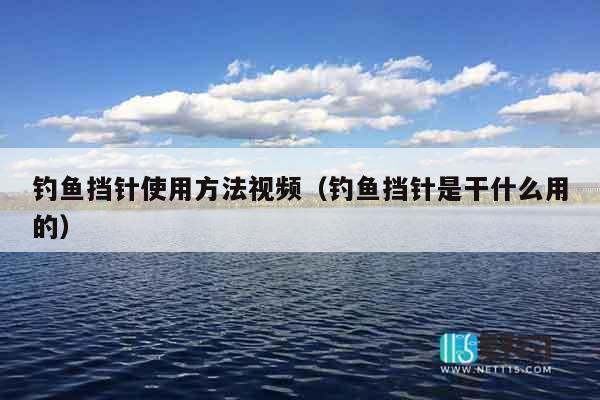 钓鱼挡针使用方法视频（钓鱼挡针是干什么用的）