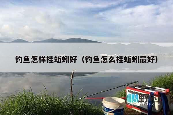 钓鱼怎样挂蚯蚓好（钓鱼怎么挂蚯蚓最好）
