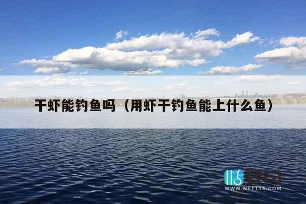 干虾能钓鱼吗（用虾干钓鱼能上什么鱼）