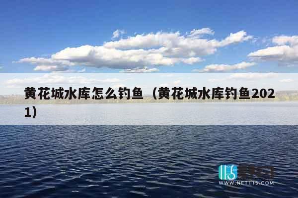 黄花城水库怎么钓鱼（黄花城水库钓鱼2021）