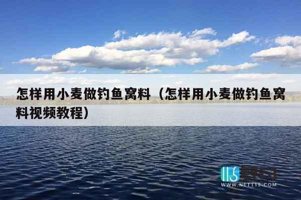 怎样用小麦做钓鱼窝料（怎样用小麦做钓鱼窝料视频教程）