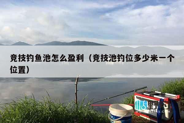 竞技钓鱼池怎么盈利（竞技池钓位多少米一个位置）