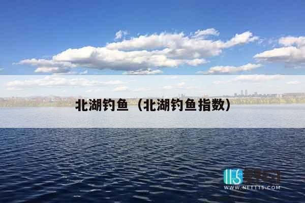 北湖钓鱼（北湖钓鱼指数）