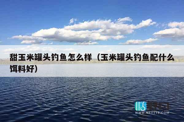 甜玉米罐头钓鱼怎么样（玉米罐头钓鱼配什么饵料好）