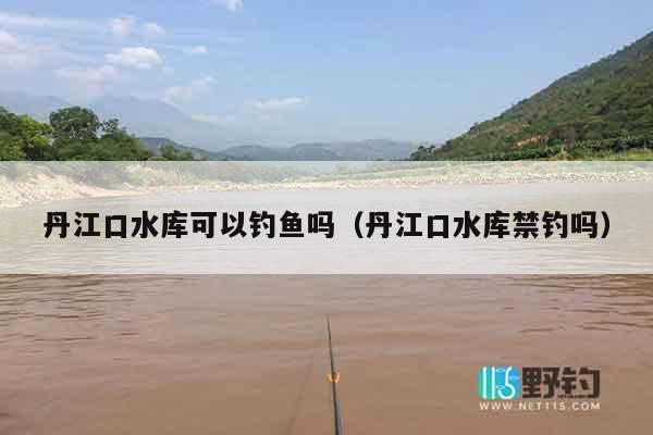 丹江口水库可以钓鱼吗（丹江口水库禁钓吗）