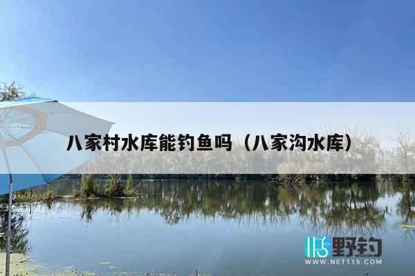八家村水库能钓鱼吗（八家沟水库）