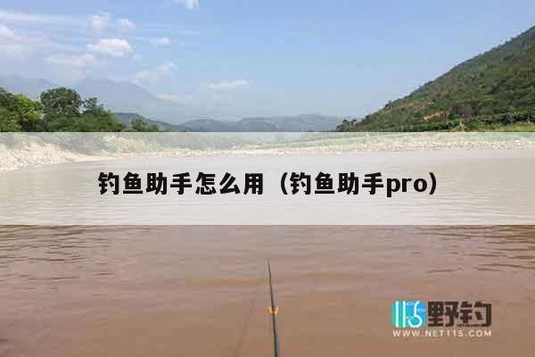 钓鱼助手怎么用（钓鱼助手pro）