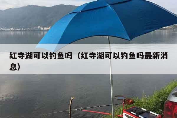 红寺湖可以钓鱼吗（红寺湖可以钓鱼吗最新消息）