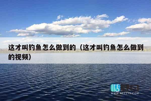 这才叫钓鱼怎么做到的（这才叫钓鱼怎么做到的视频）