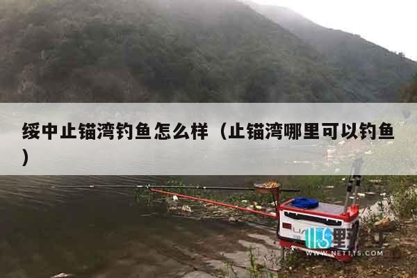绥中止锚湾钓鱼怎么样（止锚湾哪里可以钓鱼）