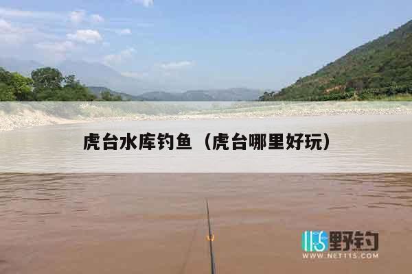 虎台水库钓鱼（虎台哪里好玩）
