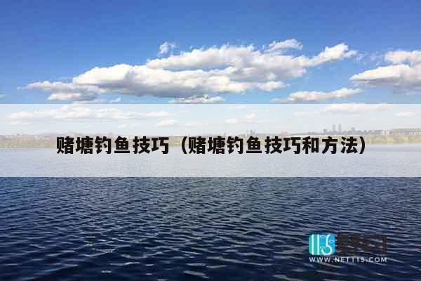 赌塘钓鱼技巧（赌塘钓鱼技巧和方法）