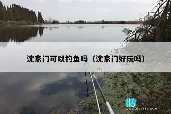 沈家门可以钓鱼吗（沈家门好玩吗）