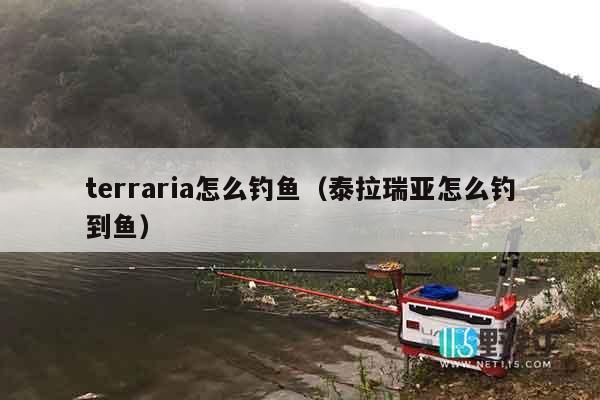 terraria怎么钓鱼（泰拉瑞亚怎么钓到鱼）