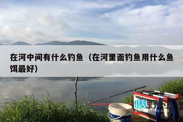 在河中间有什么钓鱼（在河里面钓鱼用什么鱼饵最好）