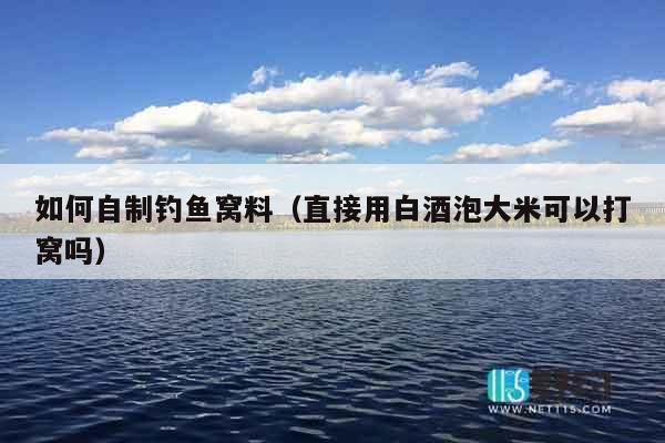 如何自制钓鱼窝料（直接用白酒泡大米可以打窝吗）