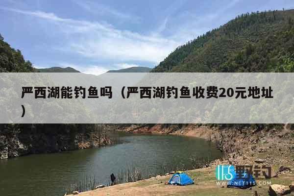 严西湖能钓鱼吗（严西湖钓鱼收费20元地址）