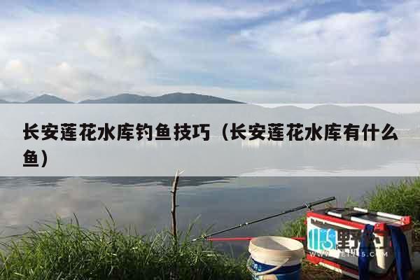长安莲花水库钓鱼技巧（长安莲花水库有什么鱼）