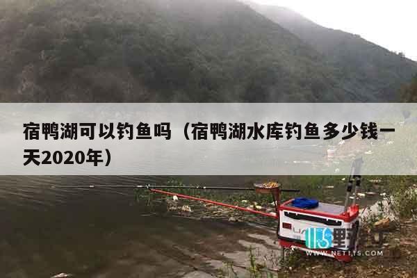 宿鸭湖可以钓鱼吗（宿鸭湖水库钓鱼多少钱一天2020年）