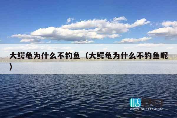 大鳄龟为什么不钓鱼（大鳄龟为什么不钓鱼呢）