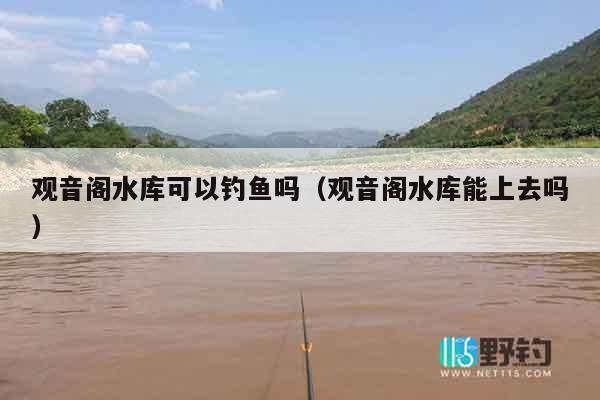 观音阁水库可以钓鱼吗（观音阁水库能上去吗）