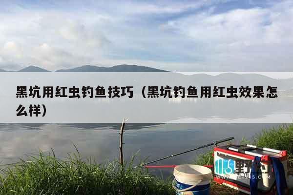 黑坑用红虫钓鱼技巧（黑坑钓鱼用红虫效果怎么样）