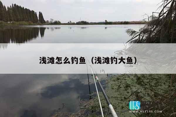 浅滩怎么钓鱼（浅滩钓大鱼）