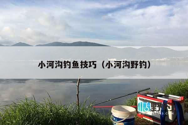 小河沟钓鱼技巧（小河沟野钓）