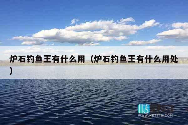 炉石钓鱼王有什么用（炉石钓鱼王有什么用处）