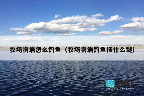 牧场物语怎么钓鱼（牧场物语钓鱼按什么键）