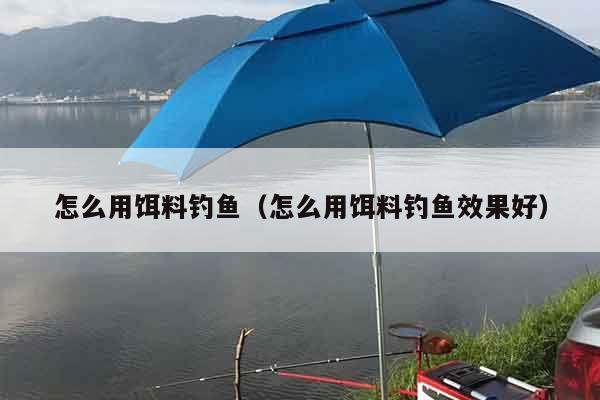 怎么用饵料钓鱼（怎么用饵料钓鱼效果好）