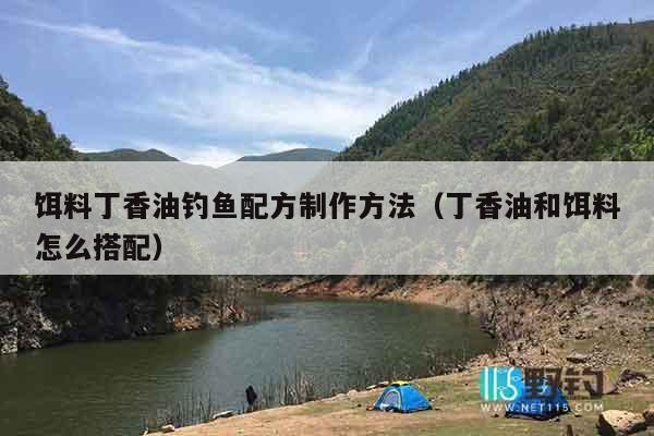 饵料丁香油钓鱼配方制作方法（丁香油和饵料怎么搭配）