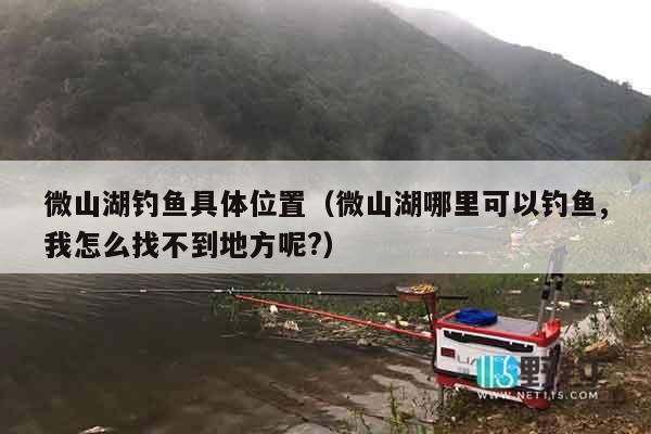 微山湖钓鱼具体位置（微山湖哪里可以钓鱼,我怎么找不到地方呢?）