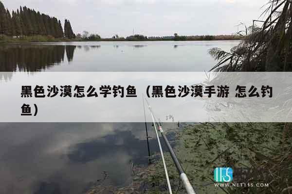 黑色沙漠怎么学钓鱼（黑色沙漠手游 怎么钓鱼）