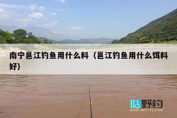 南宁邕江钓鱼用什么料（邕江钓鱼用什么饵料好）