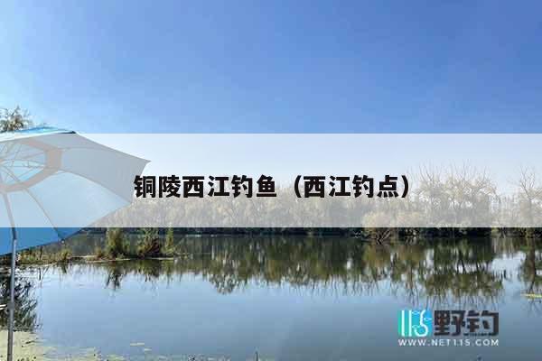 铜陵西江钓鱼（西江钓点）